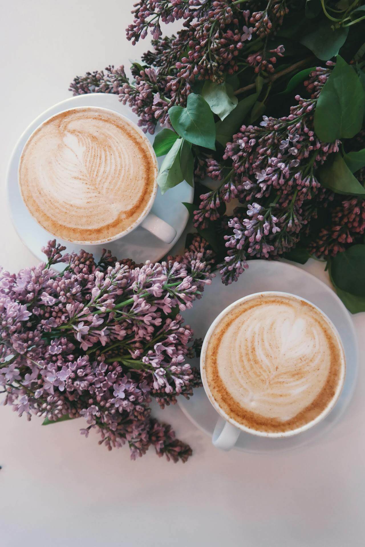 Zwei Kaffeetassen, dazwischen Blumen. Ein schöner Kontakt zur Texterin.